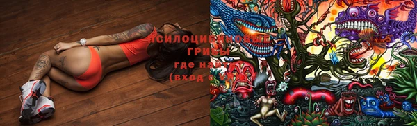 ПСИЛОЦИБИНОВЫЕ ГРИБЫ Иноземцево