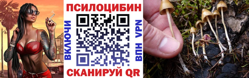 Галлюциногенные грибы Magic Shrooms Купить Среднеколымск